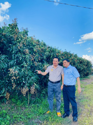 z6815868594451 d8469f752076793873a53b1a5ca871e2