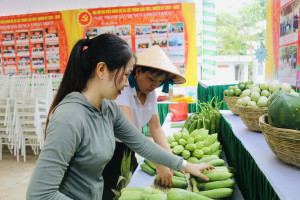 KHẨN TRƯƠNG HOÀN THIỆN TRANG TRÍ TRIỂN LÃM PHỤC VỤ ĐẠI HỘI ĐẠI BIỂU ĐẢNG BỘ XÃ LỘC THÀNH LẦN THỨ I, NHIỆM KỲ 2025 – 2030