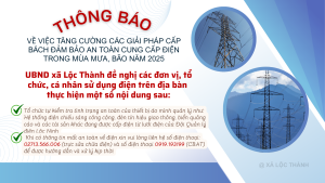 Blue And White Modern Electricity Company Profile and Strategy Presentation