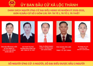 DANH SÁCH NGƯỜI ỨNG CỬ ĐẠI BIỂU HĐND XÃ NHIỆM KỲ 2026-2031