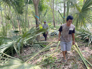 CHUNG SỨC DỰNG HỘI: NHÂN DÂN XÃ LỘC THÀNH NÁO NỨC CHUẨN BỊ LỄ HỘI PHÁ BÀU.
