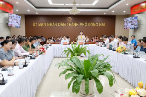 Thành phố Đồng Nai sơ kết 1 năm vận hành chính quyền địa phương 2 cấp