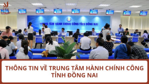 UBND tỉnh Đồng Nai ban hành Kế hoạch số 49/KH-UBND về việc cắt giảm, đơn giản hoá thủ tục hành chính