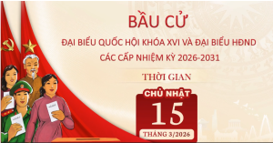 Hướng dẫn bầu cử