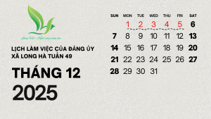 Black and Grey Bold Modern Minimalist 2025 Calendar (1)