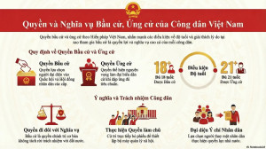 QUYỀN BẦU CỬ – QUYỀN ỨNG CỬ VÀ TRÁCH NHIỆM CỦA CÔNG DÂN