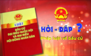 Quyền bầu cử của các cử tri có giống nhau hay không? Những...