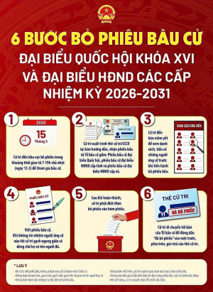 Quy trình 6 bước bỏ phiếu bầu cử