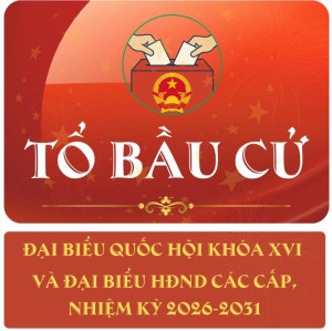 Nhiệm vụ, quyền hạn của các Tổ bầu cử, Trách nhiệm của từng thành viên trong Tổ bầu cử