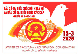 Bầu cử QH 16