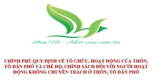 Quy định về tổ chức, hoạt động của thôn, tổ dân phố