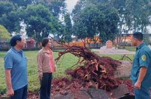 Chính quyền, lực lượng chức năng phường Long Khánh có mặt kịp thời hỗ trợ người dân do ảnh hưởng dông lốc