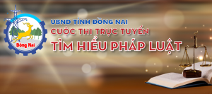 Hình thpl