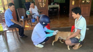 Long Khánh triển khai chiến dịch tiêm ngừa phòng bệnh dại trên địa bàn