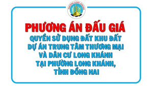 Phương án Đấu giá quyền sử dụng đất khu đất Dự án Trung tâm thương mại và dân cư Long Khánh tại phường Long Khánh, tỉnh Đồng Nai