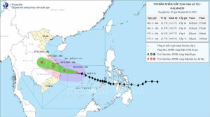 Thông tin Bão số 13 (KALMAEGI) duy trì cường độ, hướng di chuyển, cách Quy Nhơn khoảng 310km về phía Đông Đông Nam.