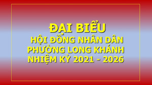 ĐB HĐND