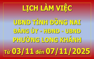 Lịch làm việc 03 11 đến 07 11 2025 b