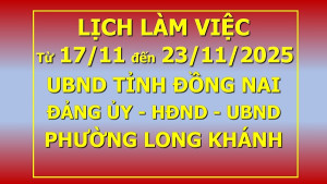 Lịch làm việc 17 11 đến 13 11 2025