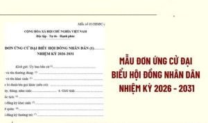 Biểu mẫu hồ sơ ứng cử đại biểu Quốc hội khoá XVI và đại biểu...