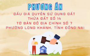 Phương án Đấu giá quyền sử dụng đất thửa đất số 14 tờ bản đồ địa chính số 7 phường Long Khánh, tỉnh Đồng Nai