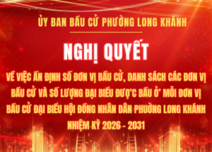 NQ 01 ấn định số đơn vị bầu cử, danh sách và số lượng đại biểu được bầu ở mỗi đơn vị bầu cử 4