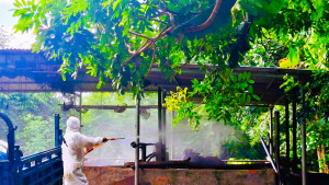 Long Khánh tăng cường phòng, chống bệnh viêm da nổi cục trên gia súc