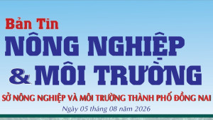 Bản tin Nông nghiệp và Môi trường số 6 tháng đầu năm 2026