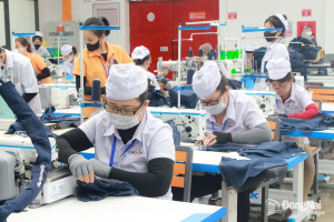 Thi đua sản xuất chào mừng thành phố Đồng Nai