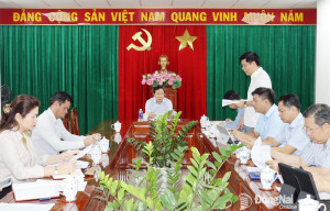 Khẩn trương đấu giá hơn 2,5 ngàn hécta đất vùng phụ cận Sân bay Long Thành