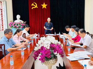 Thường trực Hội đồng nhân dân giám sát chuyên đề về kết quả...