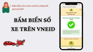 Hướng dẫn đăng kí, bấm biển số xe tại nhà