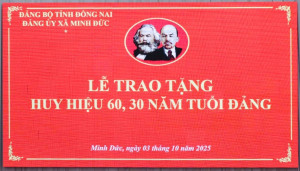 market trao HHĐ n