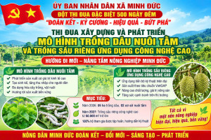 Minh Đức quyết tâm xây dựng mô hình trồng dâu nuôi tằm và sầu riêng công nghệ cao – Hướng đi mới nâng tầm nông nghiệp địa phương