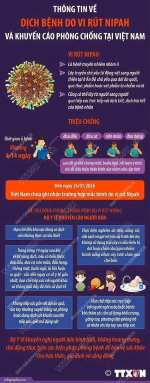 Thông tin về dịch bệnh do virus Nipal và khuyến cáo phòng chống tại Việt Nam ￼