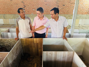 Phát huy hiệu quả mô hình nuôi Dúi từ nguồn vốn chính sách.