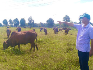 Quỹ Hỗ trợ Nông dân tỉnh Đồng Nai: Thẩm định giải ngân 400 triệu đồng tại phường Minh Hưng.