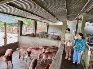 GƯƠNG TỔ TRƯỞNG TỔ TIẾT KIỆM VÀ VAY VỐN NHCSXH TIÊU BIỂU DO HỘI PHỤ NỮ PHƯỜNG MINH HƯNG QUẢN LÝ