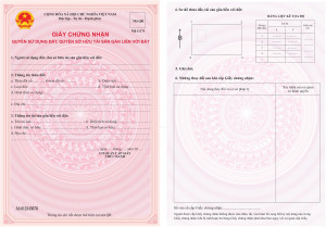 Mẫu Giấy chứng nhận mới áp dụng từ 01/01/2025 theo Thông tư 10/2024/TT-BTNMT