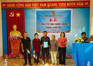 Hội Nông dân phường Minh Hưng ra mắt  Tổ hội nghề nghiệp Chăn nuôi bò 9