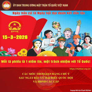 [Infographic] Cử tri có thể tra cứu thông tin về người ứng cử đại biểu Quốc hội và HĐND trên VNeID như thế nào?
