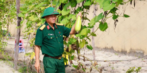 Ban Chỉ huy Quân sự phường Minh Hưng đẩy mạnh tăng gia sản...