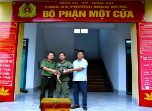 Công an phường Minh Hưng tiếp nhận và bàn giao một cá thể Tê tê Java cực kỳ quý hiếm