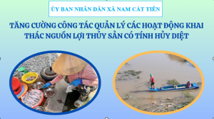 huy động nguồn lực, phát động phong trào chung sức tham gia hoạt động thả cá tái tạo nguồn lợi thủy sản năm 2025