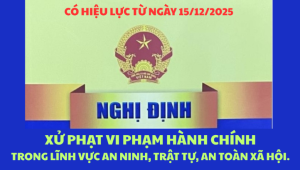 Quy định mới xử phạt vi phạm hành chính trong lĩnh vực an ninh, trật tự, an toàn xã hội.