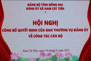 Công bố quyết định của Ban thường vụ Đảng về công tác cán bộ