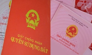 So Hong So Do 01