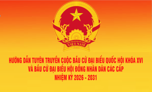 HỘI NGHỊ TRỰC TUYẾN VỀ TRIỂN KHAI HƯỚNG DẪN NGHIỆP VỤ CÔNG TÁC BẦU CỬ