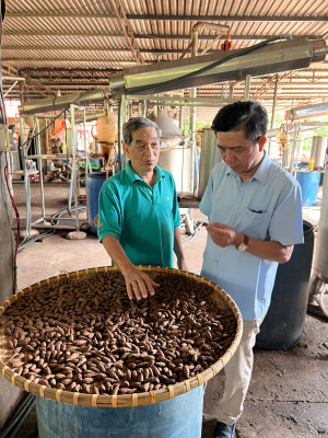 ĐỒNG CHÍ BÍ THƯ ĐẢNG ỦY XÃ THĂM MÔ HÌNH SẢN XUẤT TINH DẦU TRẦM HIỆU QUẢ TẠI ẤP 11
