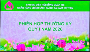 PHIÊN HỌP THƯỜNG KỲ QUÝ I NĂM 2026 CỦA BAN ĐẠI DIỆN HỘI ĐỒNG QUẢN TRỊ NGÂN HÀNG CHÍNH SÁCH XÃ HỘI XÃ NAM CÁT TIÊN